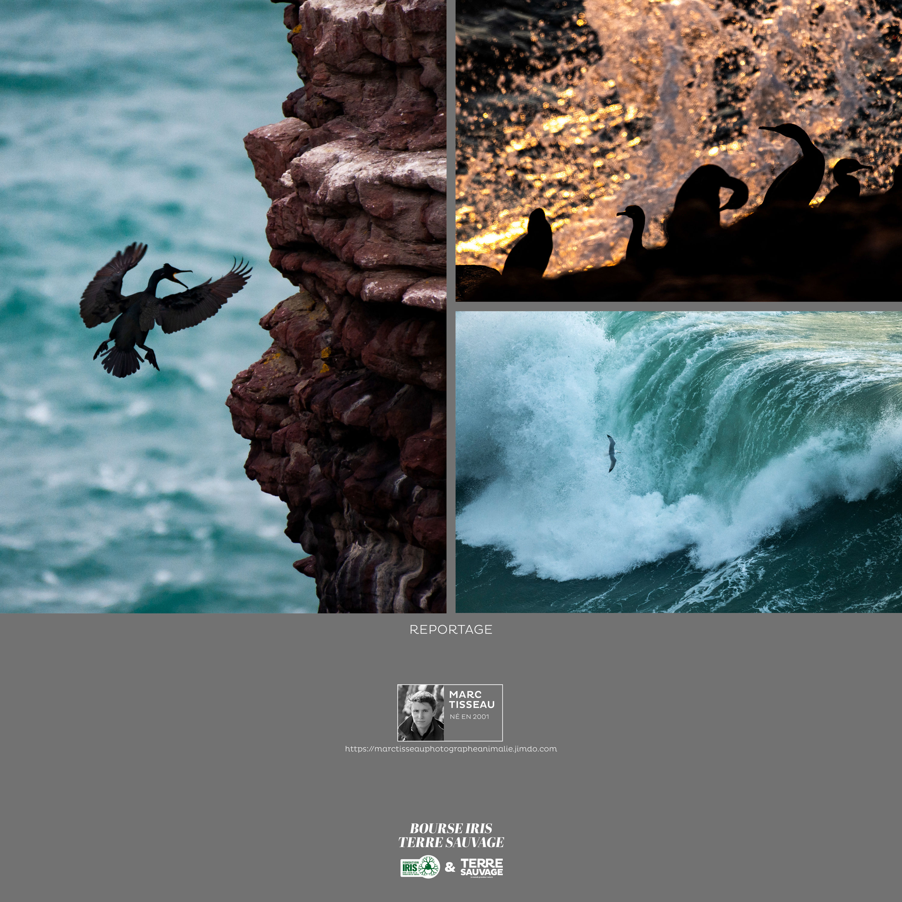 Montier Photo Festival