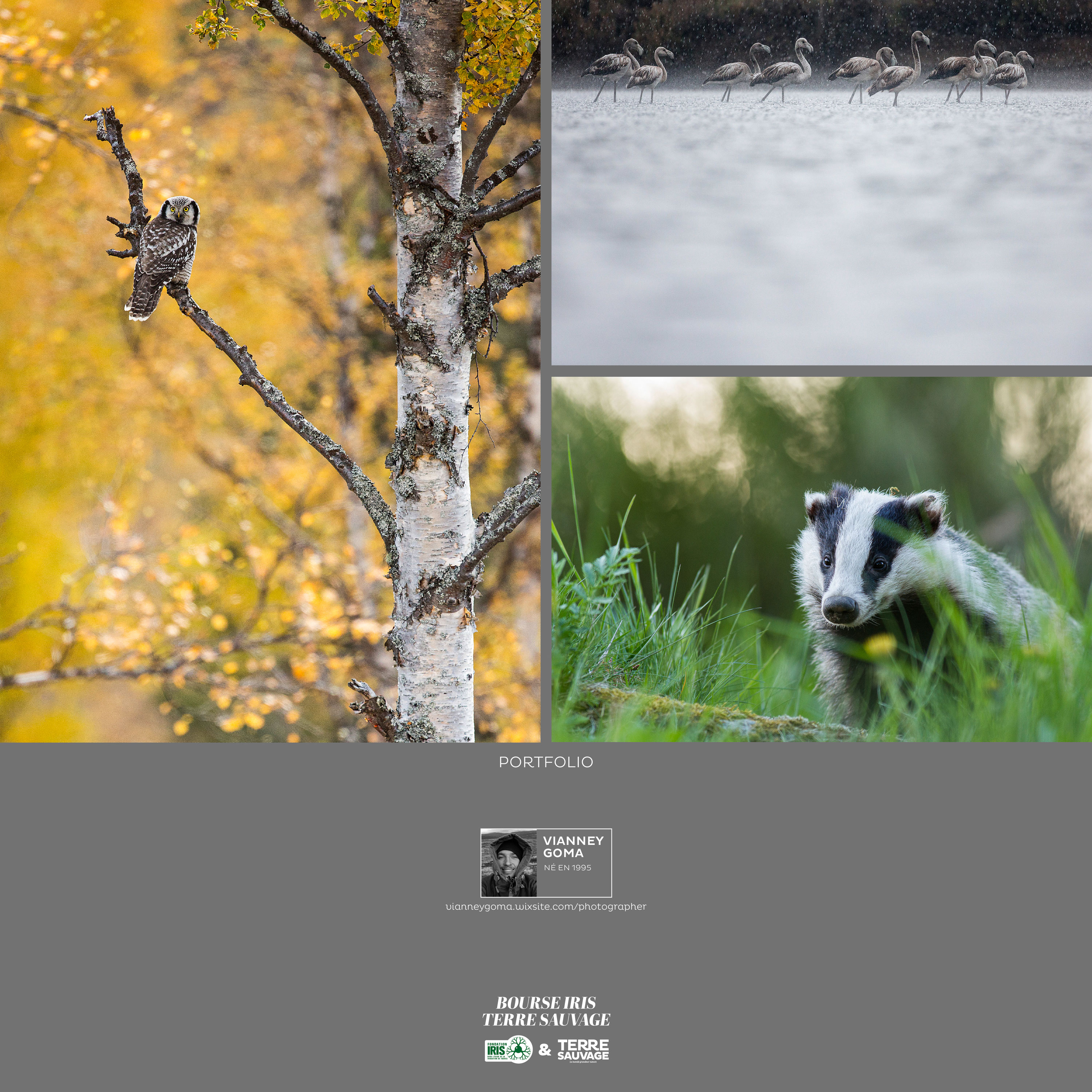 Montier Photo Festival
