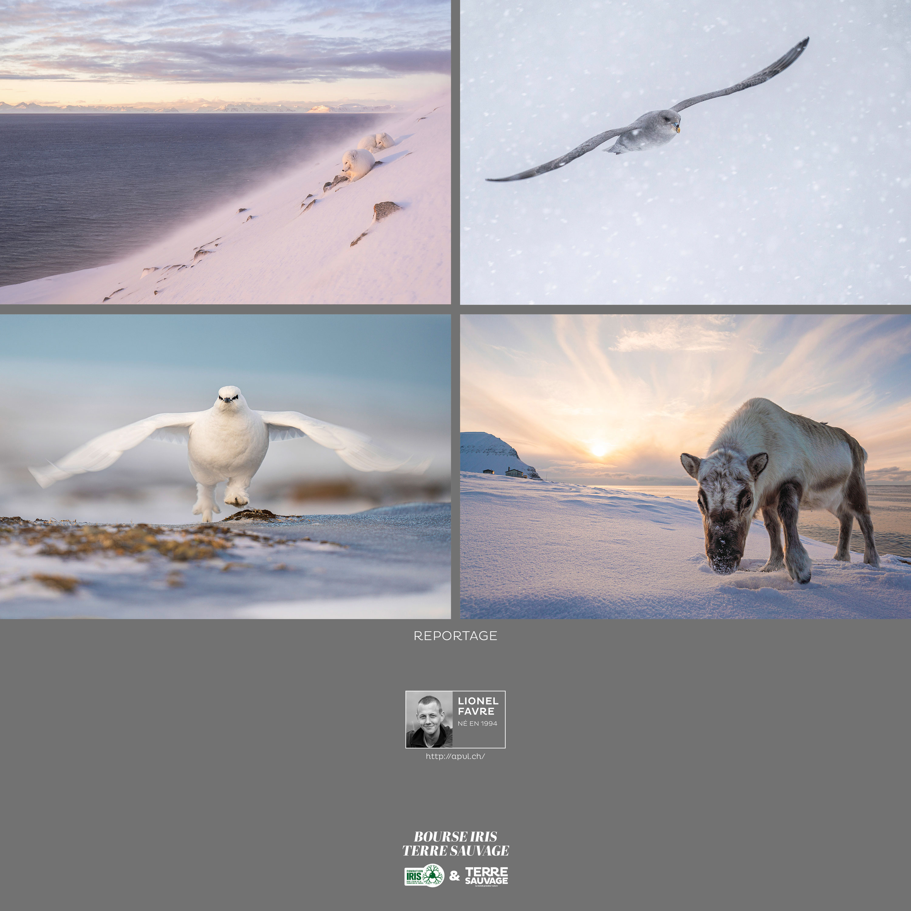 Montier Photo Festival