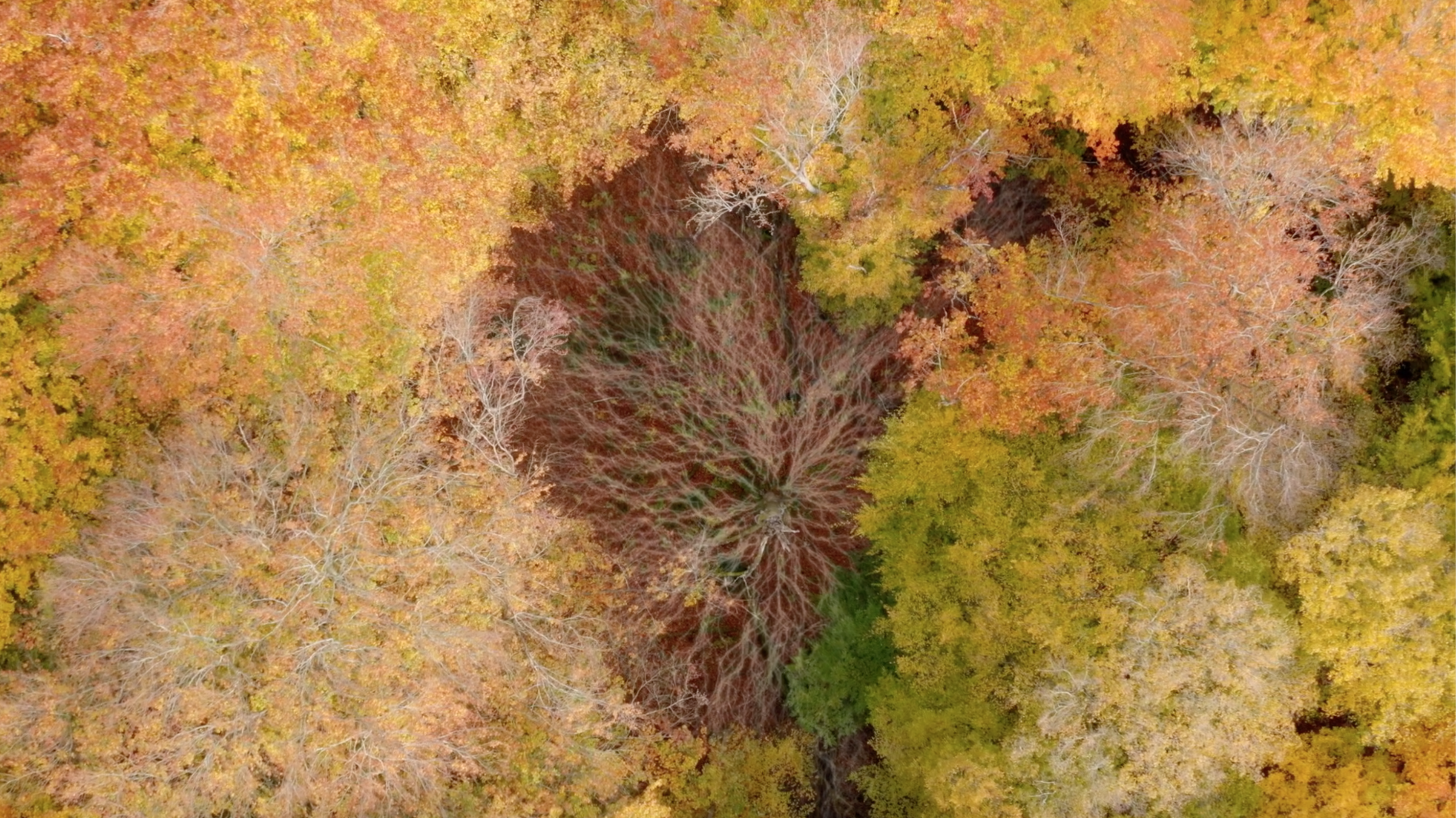 Montier Photo Festival