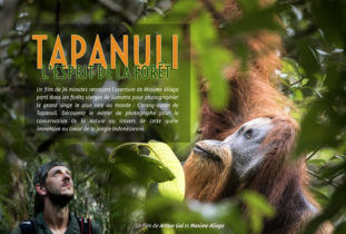 Montier Photo Festival