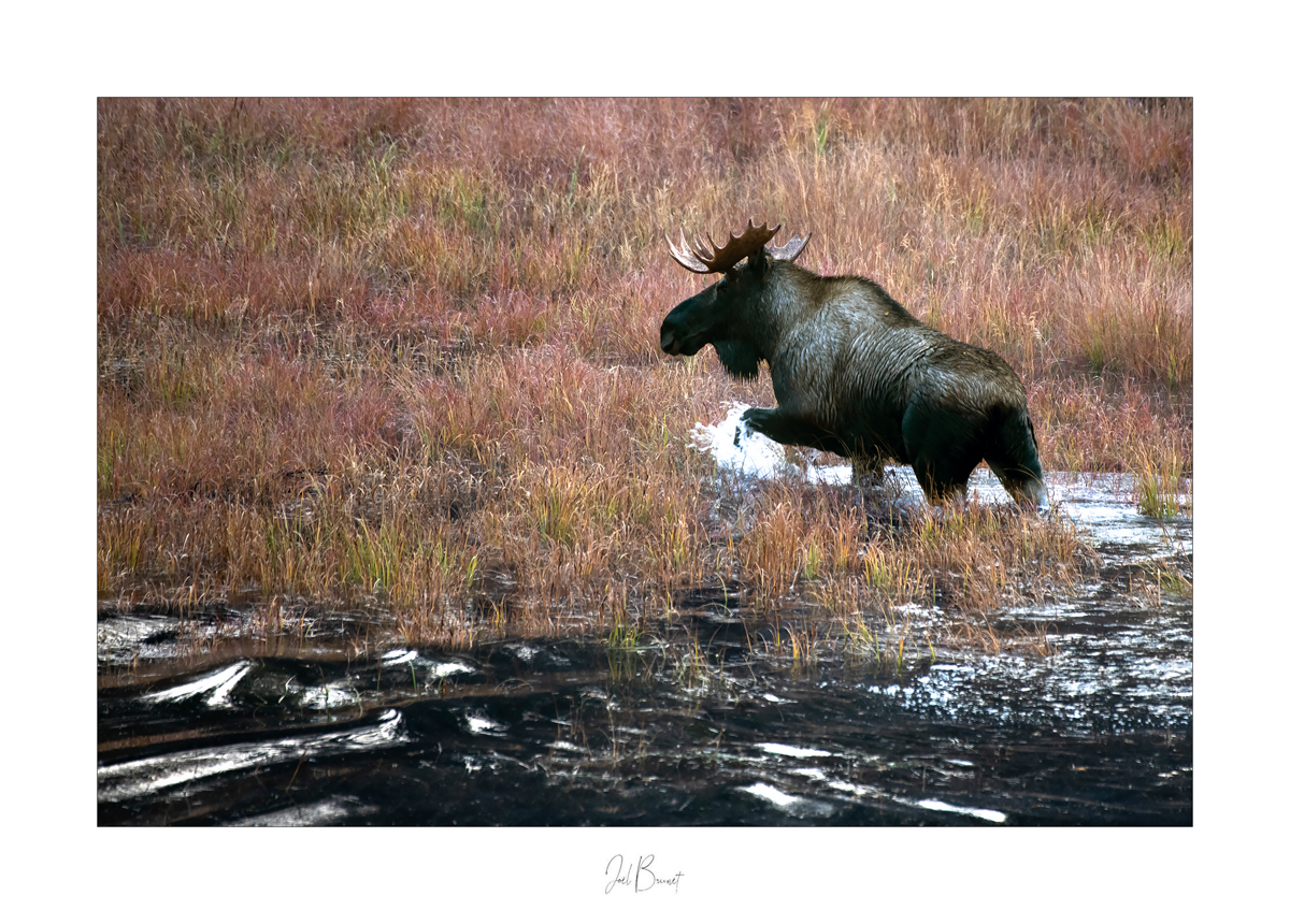 Montier Photo Festival