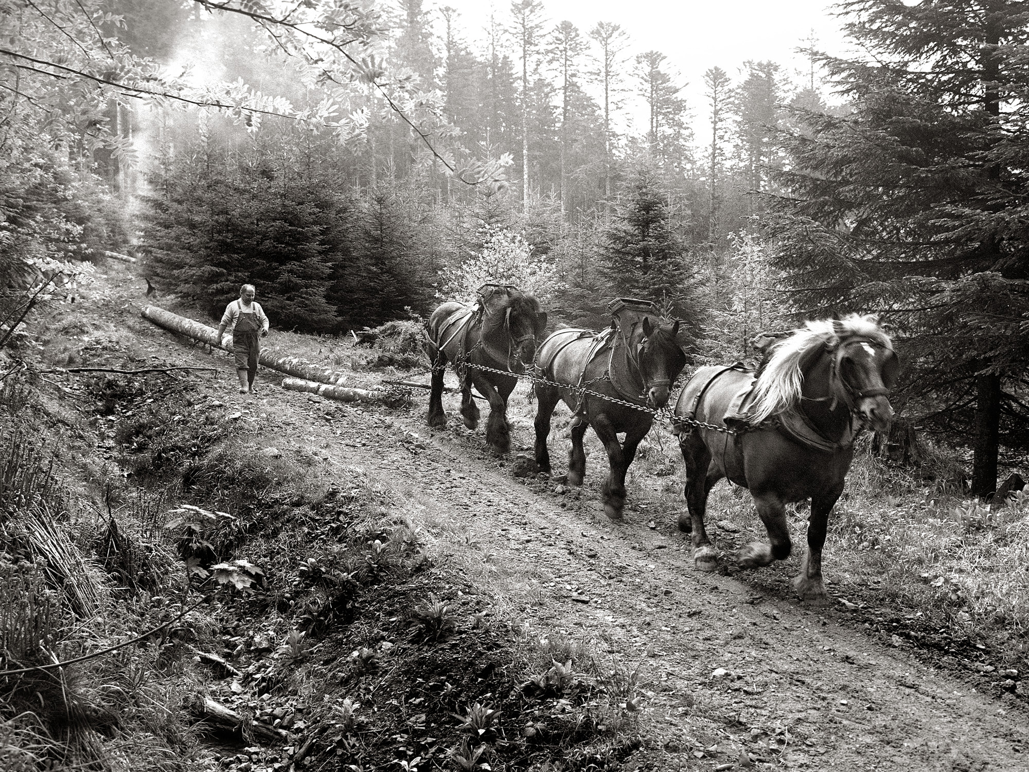 Montier Photo Festival
