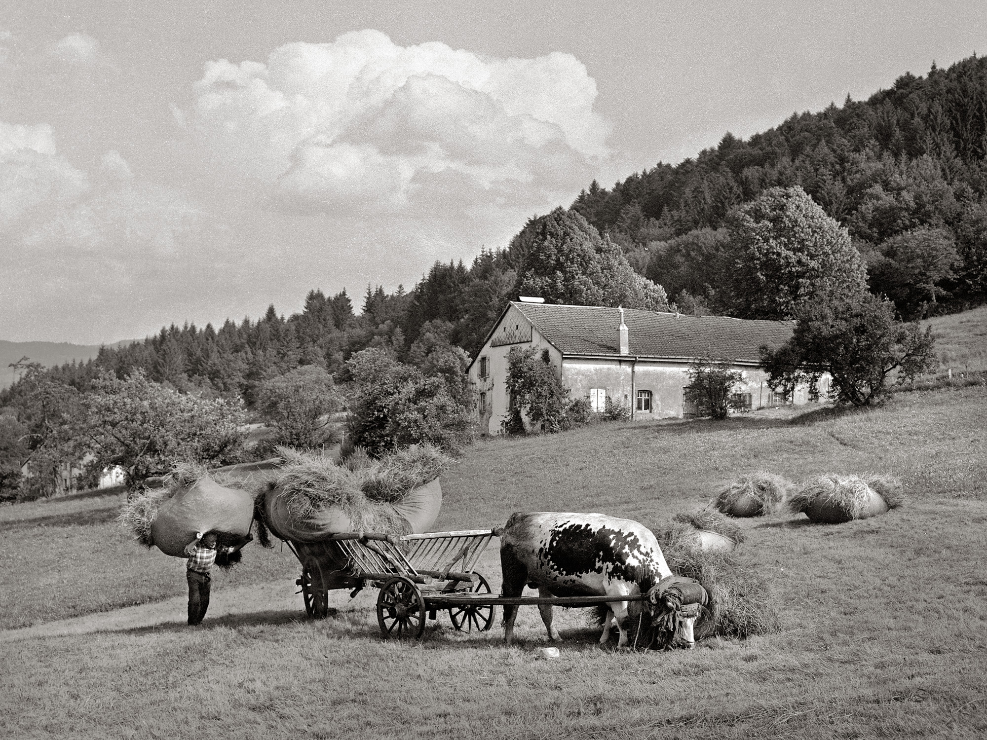 Montier Photo Festival
