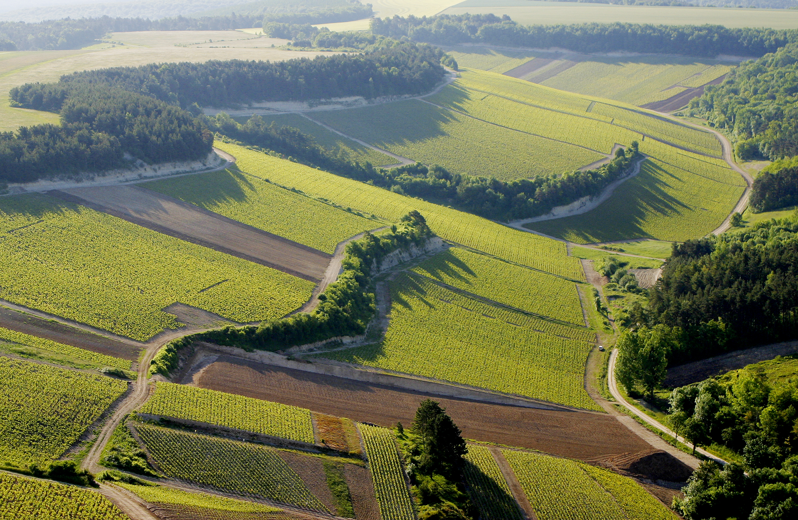 Montier Photo Festival