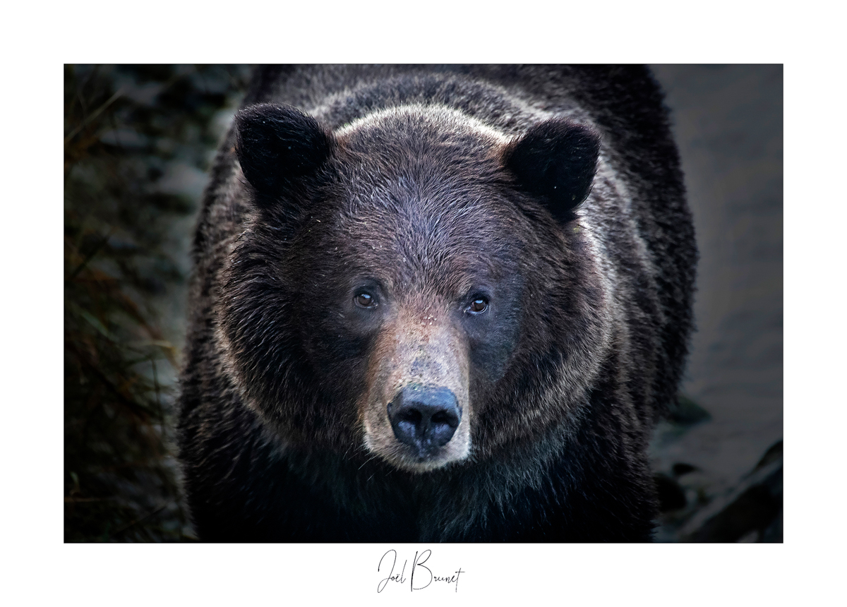 Montier Photo Festival