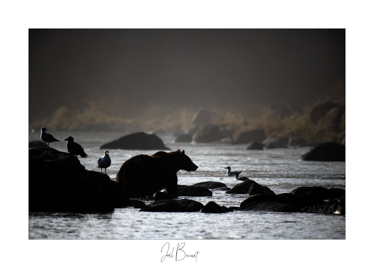 Montier Photo Festival