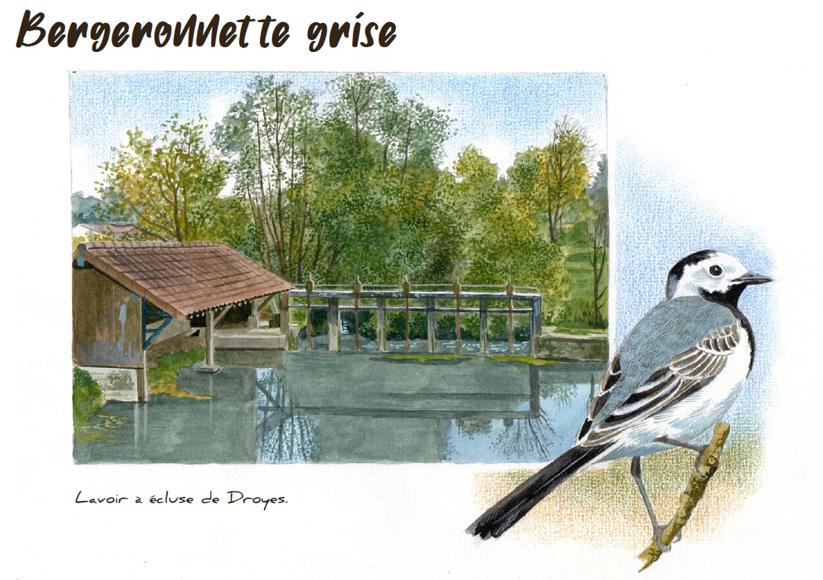 Montier Photo Festival
