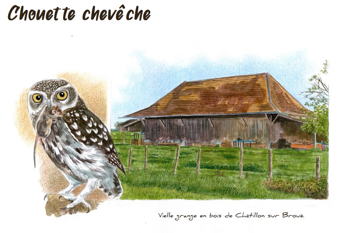 Montier Photo Festival