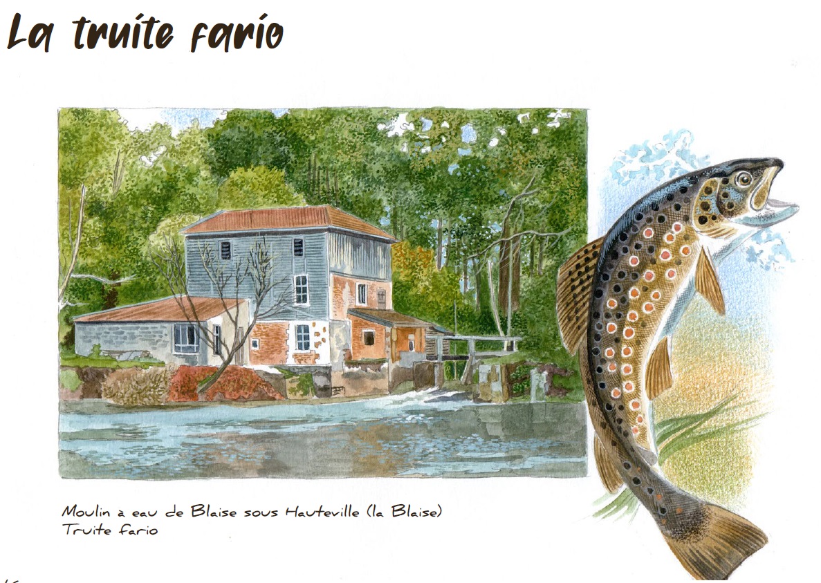 Montier Photo Festival