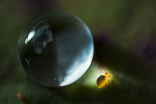 Montier Photo Festival