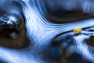 Montier Photo Festival