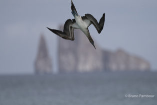 Montier Photo Festival