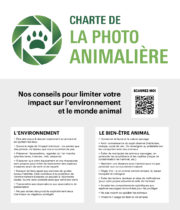 Montier Photo Festival