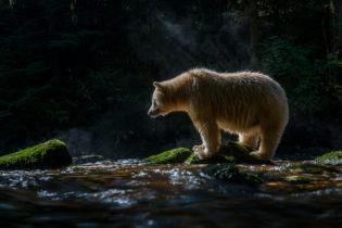 Montier Photo Festival