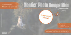 Montier Photo Festival