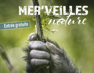 Montier Photo Festival