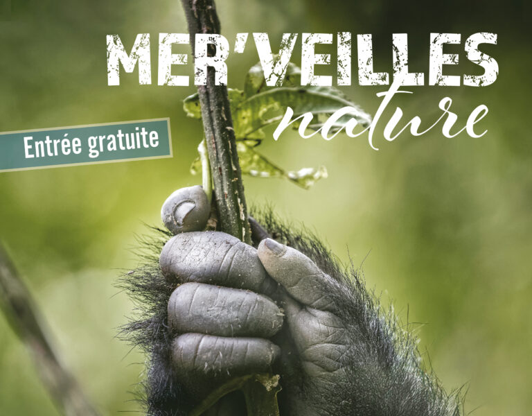 Montier Photo Festival