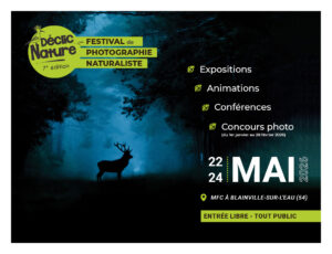 Montier Photo Festival