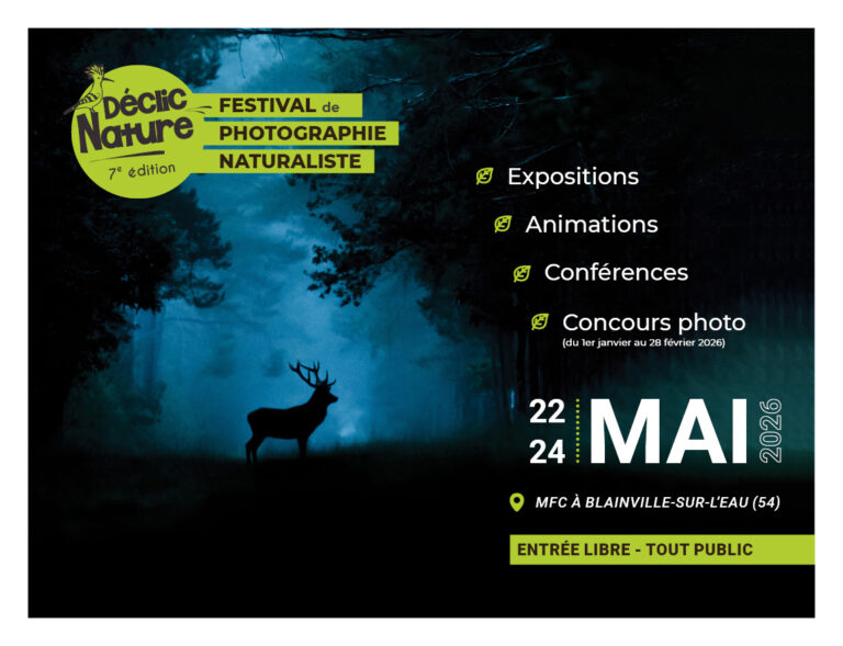 Montier Photo Festival