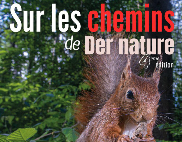 Montier Photo Festival