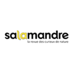 Salamandre
