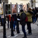 © Jean-Luc STADLER / Région Grand Est