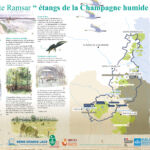 RAMSAR panneau de présentation