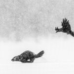 Olivier LARREY (France)