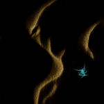 I captured this image of the scorpion in the sand dunes of Thar desert at jaisalmer in a late monsoon evening. The scorpion was lit up by a uv flashlight which made the scorpion glow blue as its exoskeleton emitted blue luminescence. The wind swept sand pattern was illuminated by normal led flashlight at glancing angle. I used a wide angle lens to capture this photograph.
