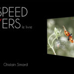Speed Flyers - Ghislain Simard - Chasseur d'Images Speed Flyers - Ghislain Simard - Chasseur d'Images