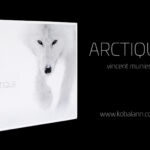 Arctique - Vincent Munier - Chasseur d'Images Arctique - Vincent Munier - Chasseur d'Images