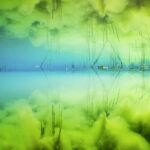 Elsewhere - Yannick Gouguenheim Elsewhere - Yannick Gouguenheim