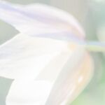 Songe aquarelle - Yves AUBOYER Songe aquarelle - Yves AUBOYER