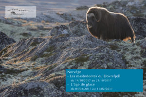Montier Photo Festival