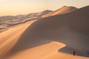 Les grandes dunes infinies - Emmanuel Berthier