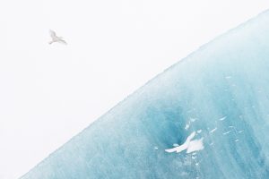 Iceberg1 - Thierry Vezon