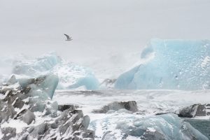 Iceberg2 - Thierry Vezon