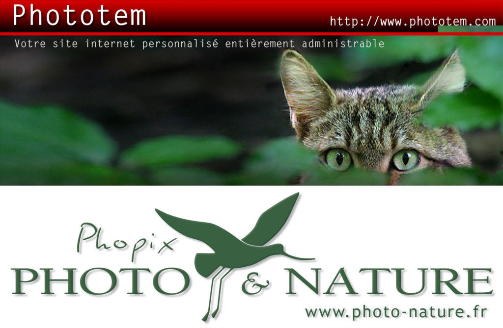 139_logo-commun.jpg -