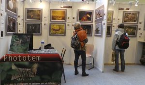 Phototem - Photo & Nature - Phototem - Photo & Nature