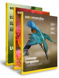 Revues Salamandre - @salamandre