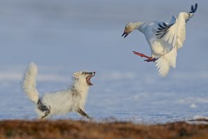 Montier Photo Festival
