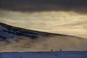 Montier Photo Festival