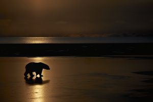 Montier Photo Festival