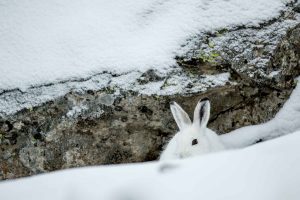 Suis je invisible ? - Bernard Pons
