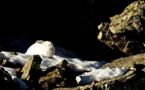 Ombre et lumiére - Bernard Pons