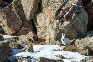 Une petite faim - Bernard Pons