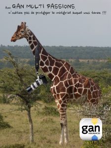 Montier Photo Festival
