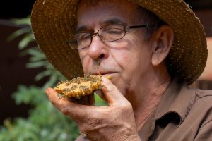 Ernesto, amigo apicultor... - Alain Benoit à la Guillaume