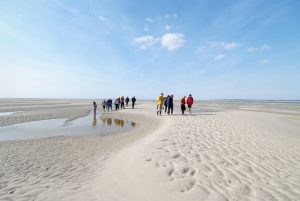 Sortie nature en Baie de Somme - Com des Images